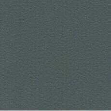 Color swatch image